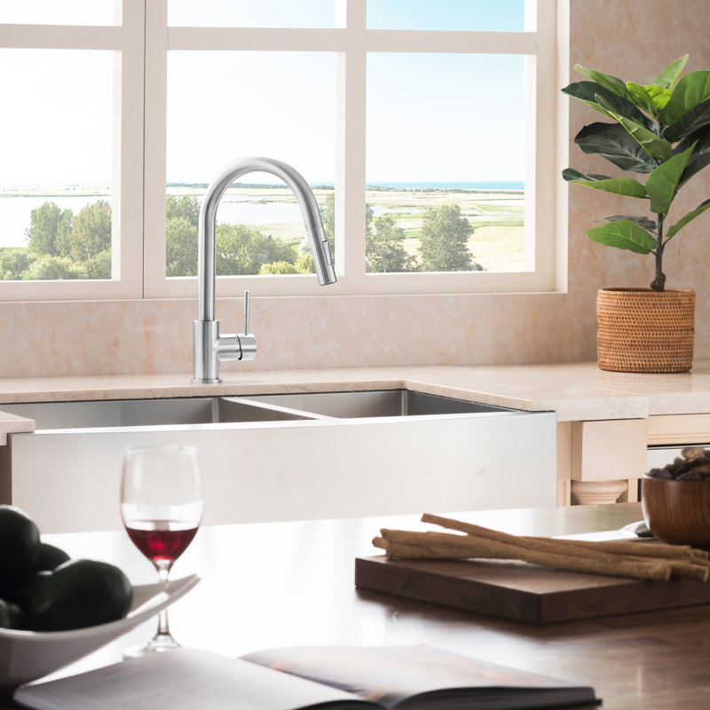 Gemini Single Handle Kitchen Faucet with Side Spray and Accessories, Brushed Nickel