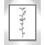 Fleurs simples 4 - reproduction de dessin-55543431-55543430