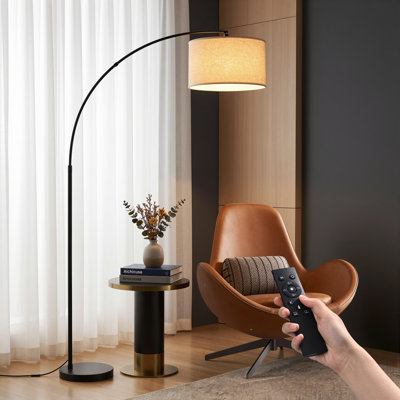 Lampe sur pied arquée 78,3 po avec télécommande et ampoule incluse