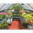 Palram - Canopia Hybrid 6' W X 8' D Greenhouse Walk-In Hobby Polycarbonate Aluminum Frame Greenhouse Kit With Roof Vent - Gray-356792576-314629674