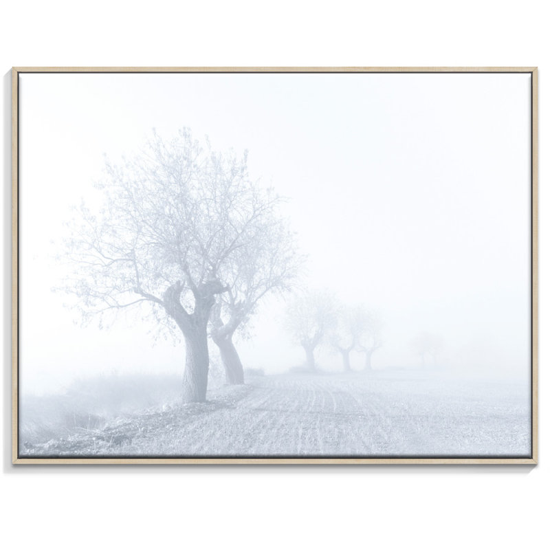 Print on Canvas, 42.5cm H x 52.5cm W, Floater Frame