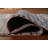 Transitional Oriental Area Rug 6x9