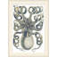 Quiet Kraken 2 Print by Studio L57 Nouvelle-1701128234