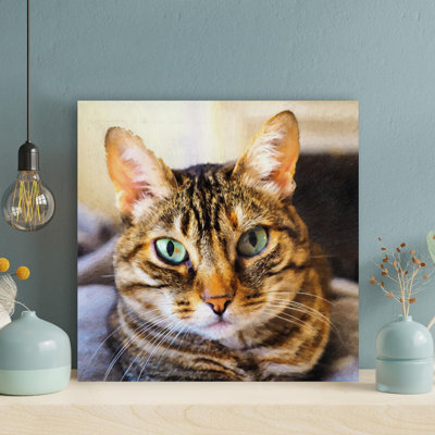 " Brown Tabby Cat " Painting Print