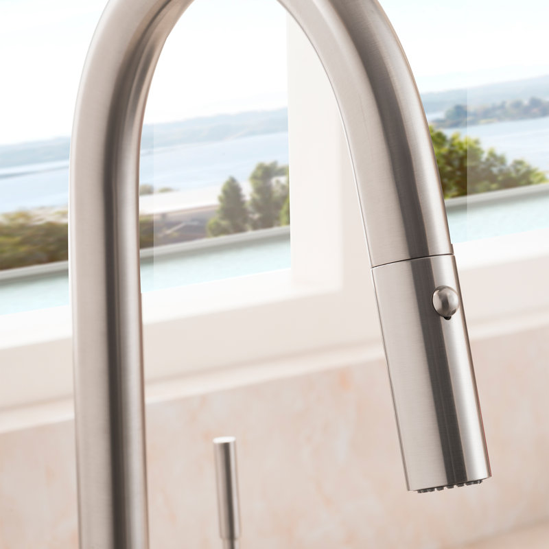 Arthur Single Handle Kitchen Faucet with Side Spray and Accessories, Brushed Nickel
