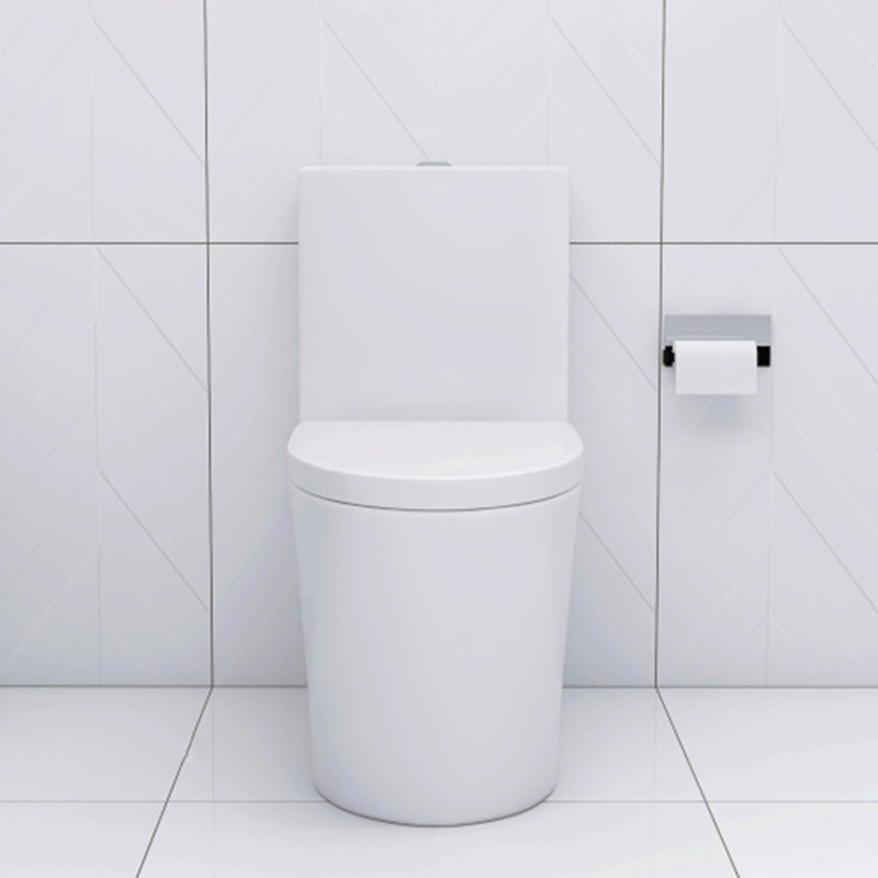 Toilette allongée matte à double chasse à hauteur confort, Blanc