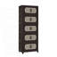 Armoire de rangement pliante 5 niveaux, bacs de rangement pliables avec porte magnétique, armoire de salon-183818746