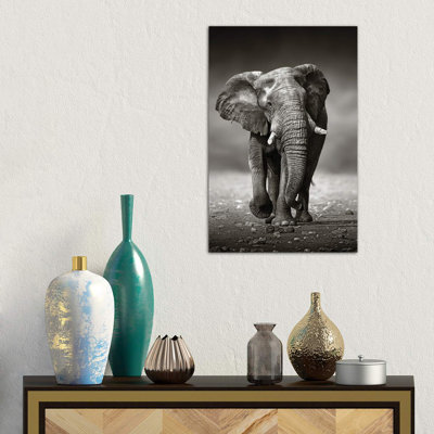 Éléphant approche de l'avant par Johan Swanepoel - reproduction de photo