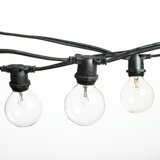 Outdoor 40 - Bulb 600'' Plug-in Globe String Light