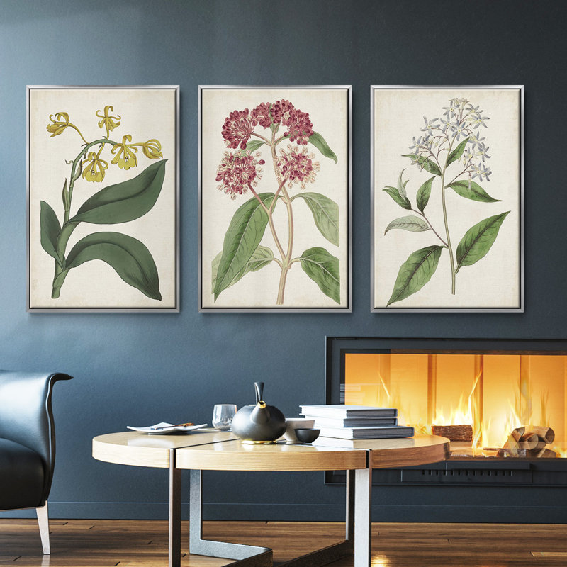 Ensemble de 3 pièces encadrées sur toile Antique Botanical Collection VI, Argent, H 36 po x l 72 po
