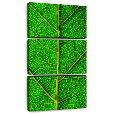 Green Leaf