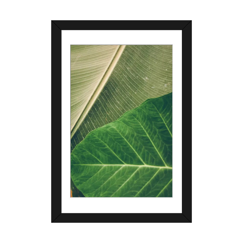 «Leaves I», impression sur toile, H 24 po x l 16 po x P 1 po, Papier beaux-arts encadré noir, Blanc