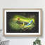 Tree Frog Vol.2 - Picture Frame Graphic Art-62807763-62807764