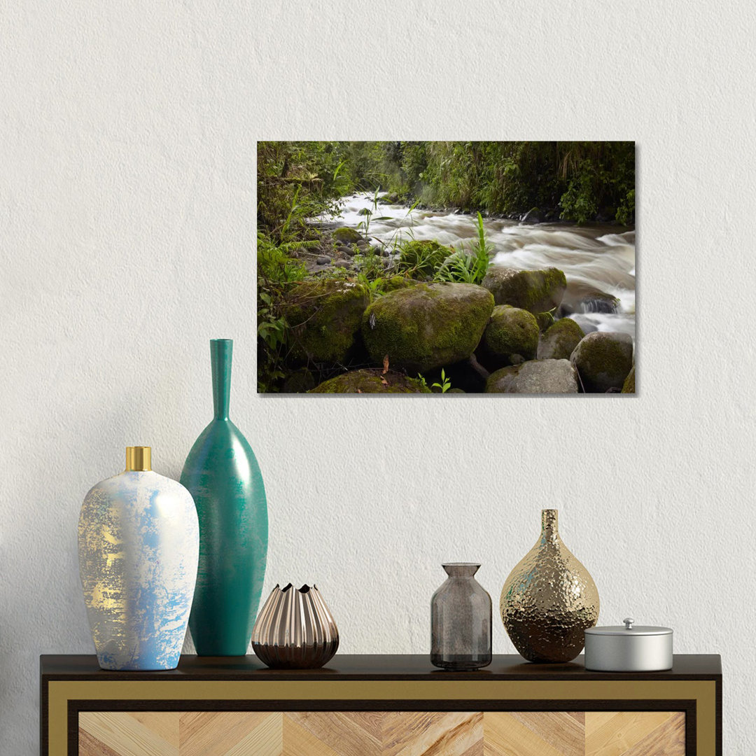 Mindo River Flowing Through Cloud Forest, Ecuador von Tim Fitzharris - Gallery-Wrapped Canvas Giclée