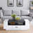White and Black Coffee Table with Storage