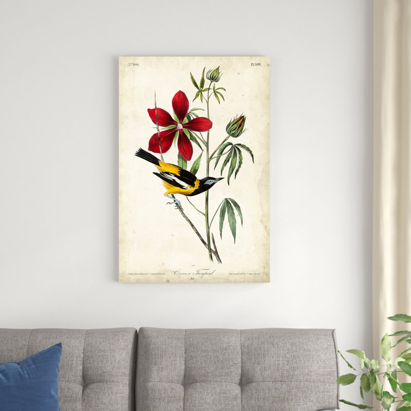 Audubon, oiseau et botanique I, H 36 po x l 24 po x P 1,25 po
