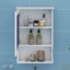Armoire à pharmacie murale de 20 po avec miroir, armoire de rangement murale avec tablettes réglables et espace ouvert, rangement à miroir-118028644