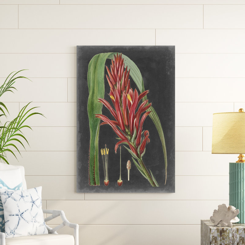 Dramatic Tropicals II, H 48 po x l 32 po x P 1,25 po