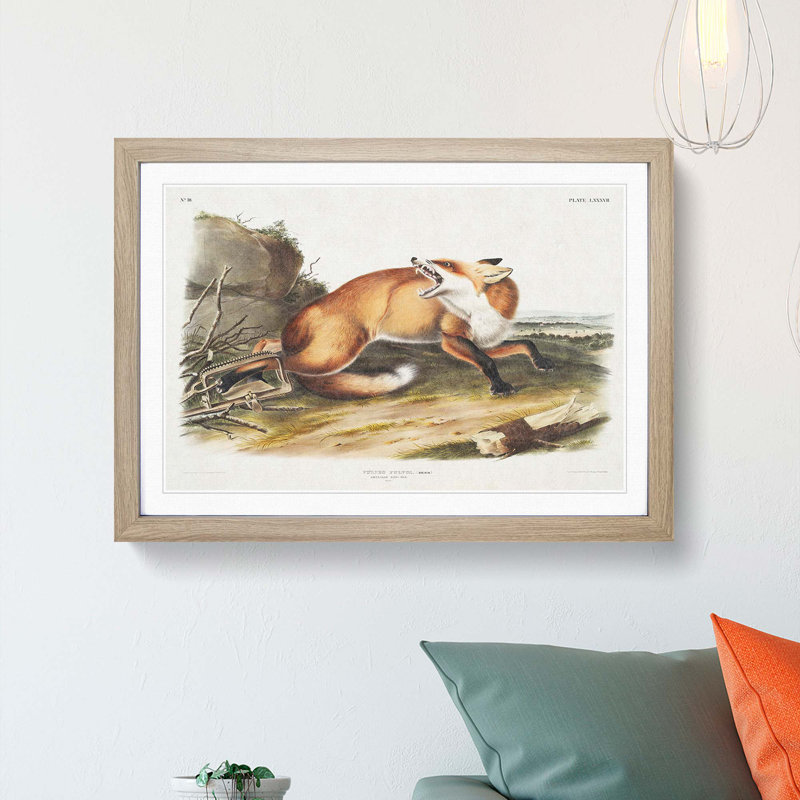 Red Fox Caught in a Trap by J.W. Audubon - Picture Frame Painting Print, 27cm H x 36cm W x 2cm D, Oak Framed