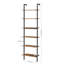 204.8 cm H x 60 cm W Ladder Bookcase