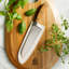Bloomhouse 7'' Santoku Knife