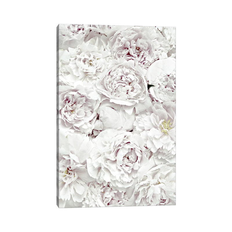 Flowers Peony White by Monika Strigel - Wrapped Canvas Print, 20.32 cm H x 30.48 cm W