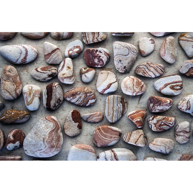 Gifts Of The Earth I by Elena Ray - Wrapped Canvas Print, 81cm H x 122cm W
