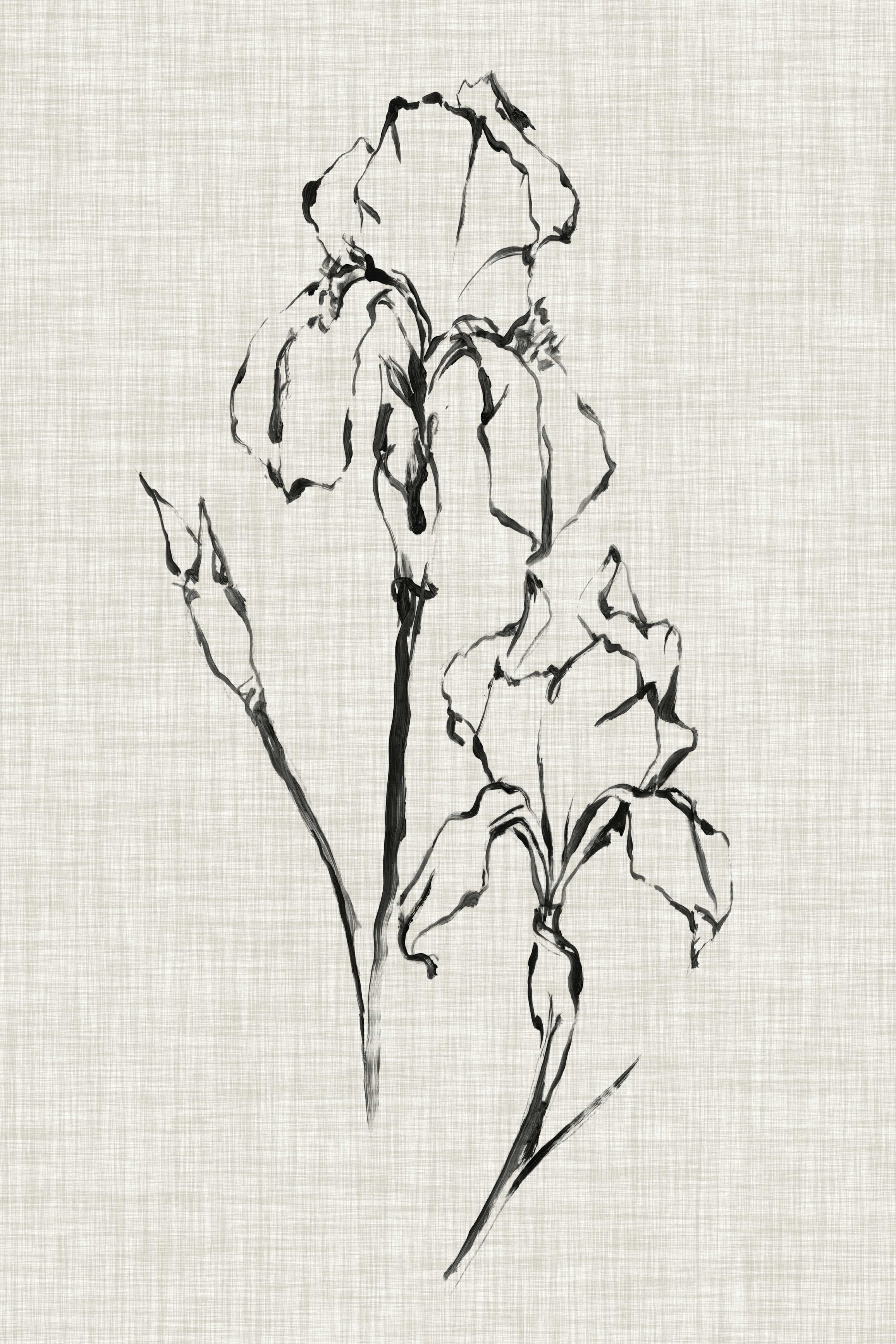 Red Barrel Studio® UA CH Floral Ink Study II - Wayfair Canada