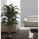 60" Artificial Palm Tree in Planter Set