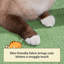 Gillispie Cat Tree with Clear Bowl and Sisal Covering Scratching Posts -1932458881