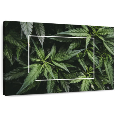 Framed Marijuana Leaves