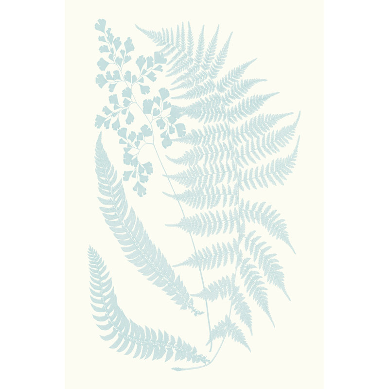 Serene Ferns II - Wrapped Canvas Art Print, 46cm H x 30cm W x 3.8cm D