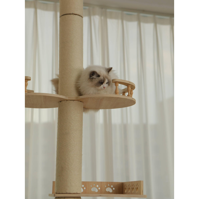 Arbre à chat réglable à 5 niveaux – Griffoir en chanvre, perchoirs, centre d'activités robuste pour intérieur/extérieur