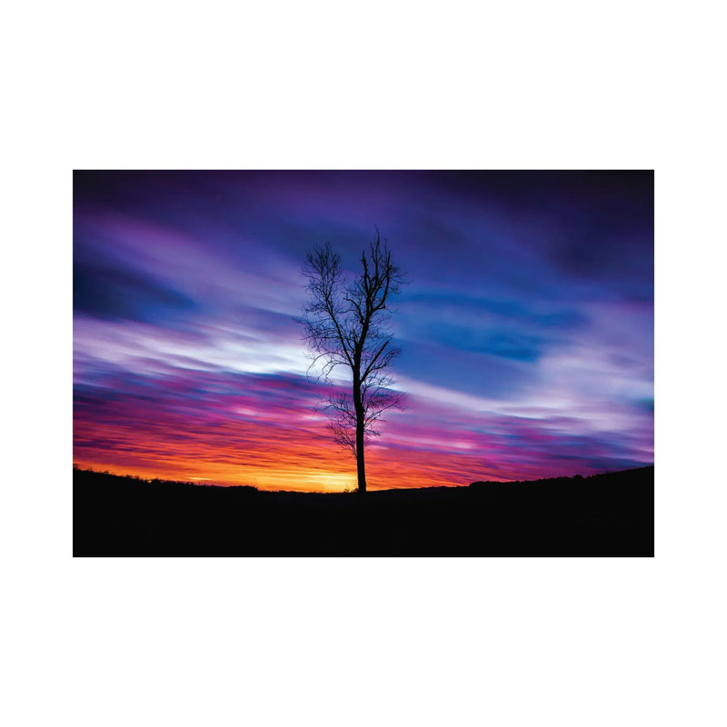 Lonely Sunset by Lucas Moore - Wrapped Canvas Painting, 20.32 cm H x 30.48 cm W