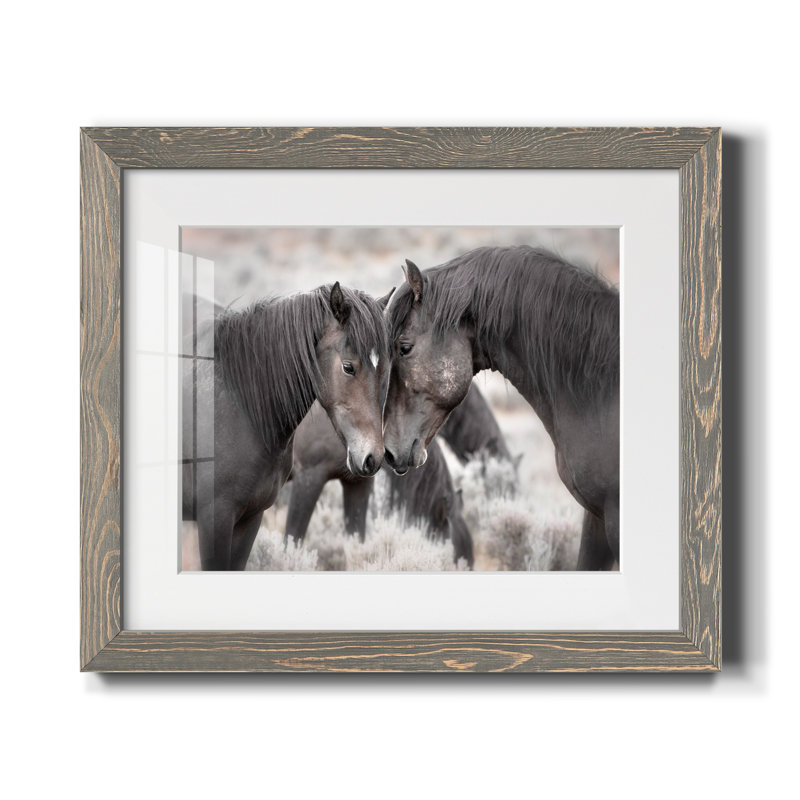 Chevaux sauvages - Photographie avec cadre photo, H 37,5 po x l 27,5 po x P 1,5 po, Encadré gris