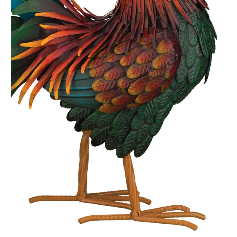 Coq rouge Rhode Island