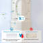 Toilette monobloc 16 po KDK Home-101913664