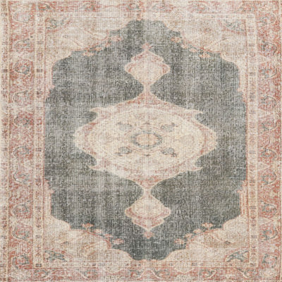 Oriental Indoor Rug