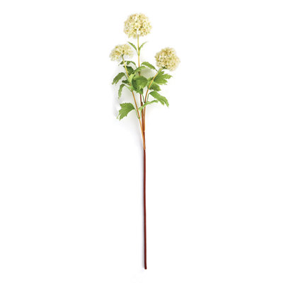30-Inch Viburnum Stem