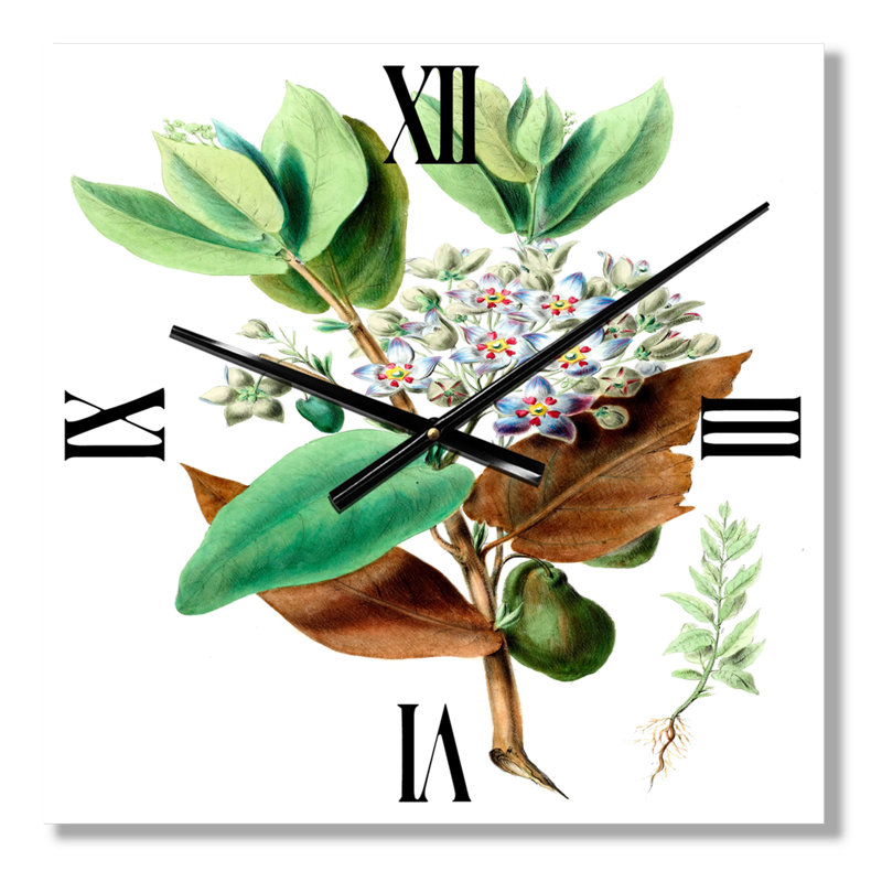 Horloge murale Plant Life, Petit