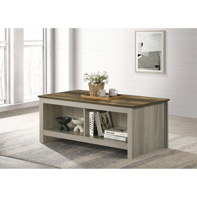 Table basse en chêne gris de 43 po avec tablettes ouvertes sur les deux côtés et plateau supérieur chic