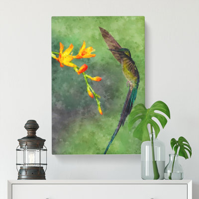 Hummingbird - Wrapped Canvas