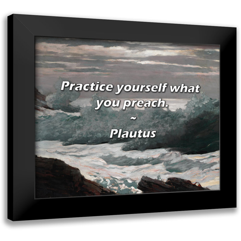 Plautus Quote: Practice yourself what you preach.