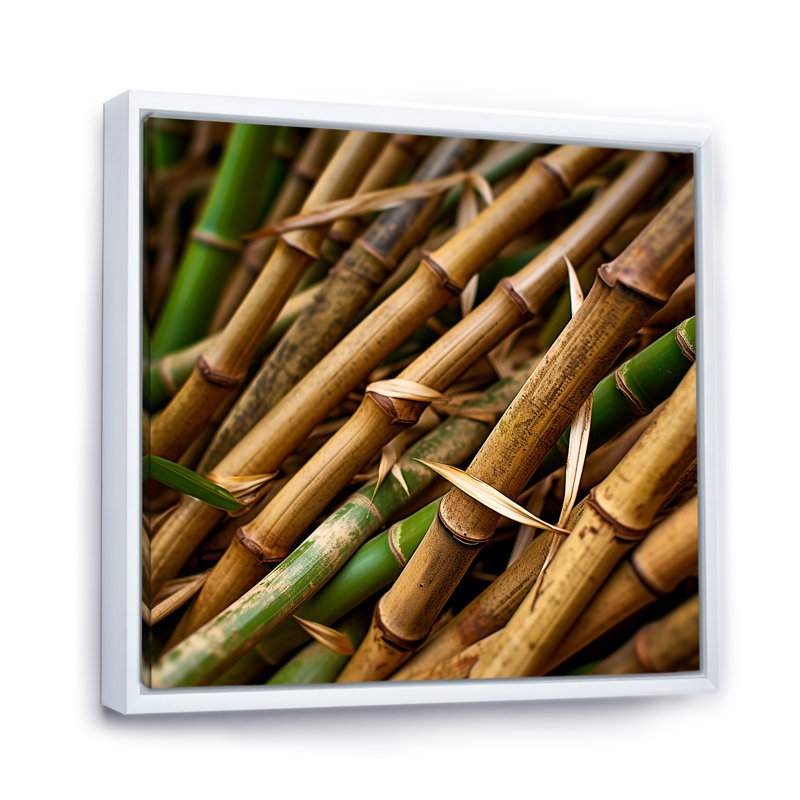 Bamboo Field Close Up I - Impression sur toile de bambou_106660, Cadre flottant blanc, H 36 po x l 36 po x P 1,5 po