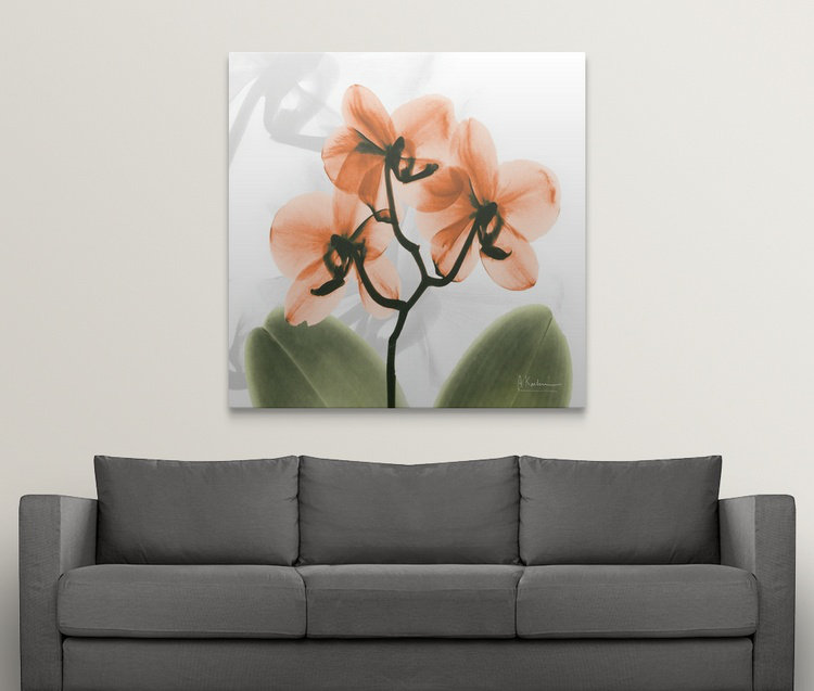 «Manigault» Orchid X-Ray par Kiranjit, reproduction de photo, H 35 po x l 35 po x P 1,5 po, Toile