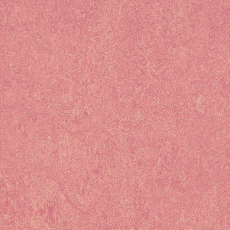 Marmoleum Cinch Loc Seal 11.81” x 35.43” x 9.8mm Flooring, Honeysuckle