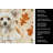 Powderpuff Chinese Crested Heirloom Fall Kitchen Towel-1218231421