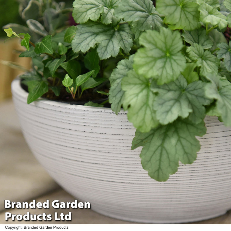 Bayadere Plant Pot Triple Pack, Light Grey