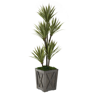 48'' Faux Yucca Tree in Solid Wood Planter