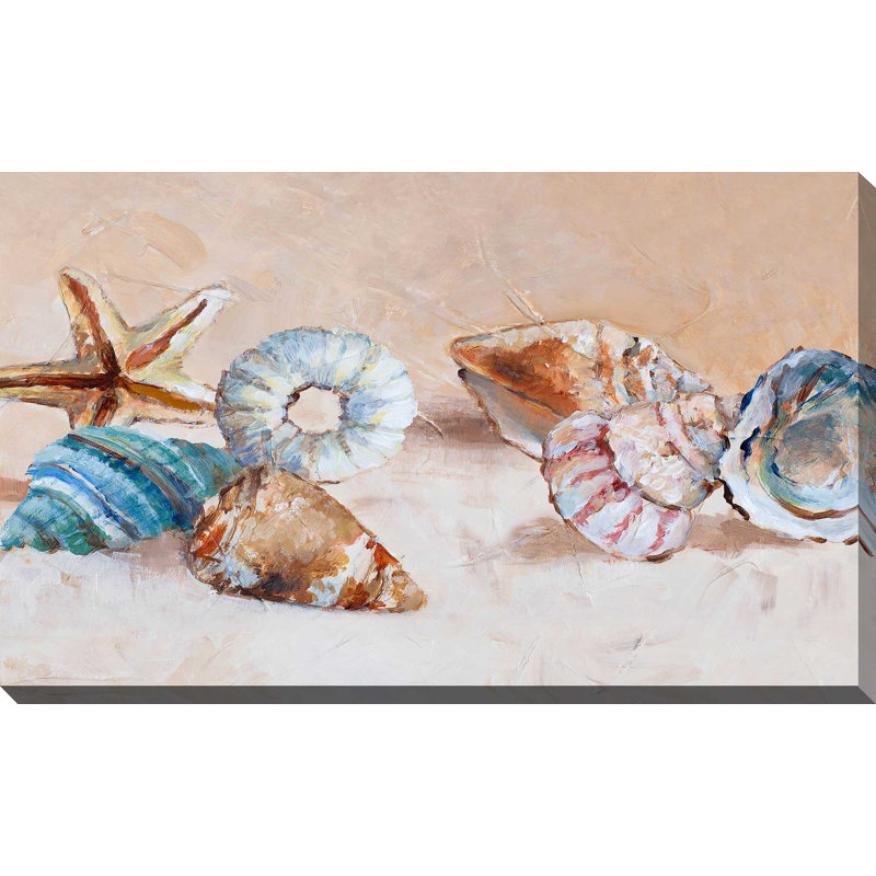 «Gathered Shells on The Shore», reproduction de peinture acrylique, H 18 po x l 30 po x P 1 po, Toile tendue